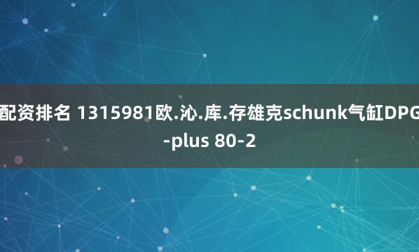 配资排名 1315981欧.沁.库.存雄克schunk气缸DPG-plus 80-2
